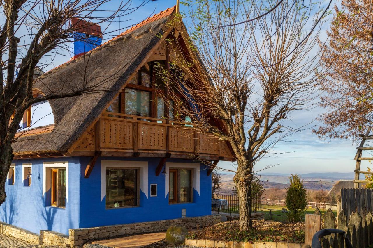 Casele Cu Stuf B&B Haus Ulrike Sălicea Exterior foto