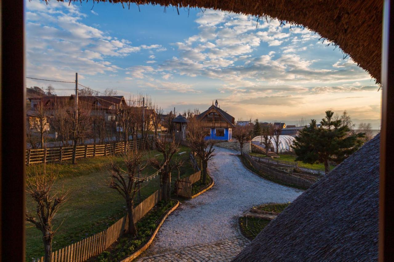 Casele Cu Stuf B&B Haus Ulrike Sălicea Exterior foto