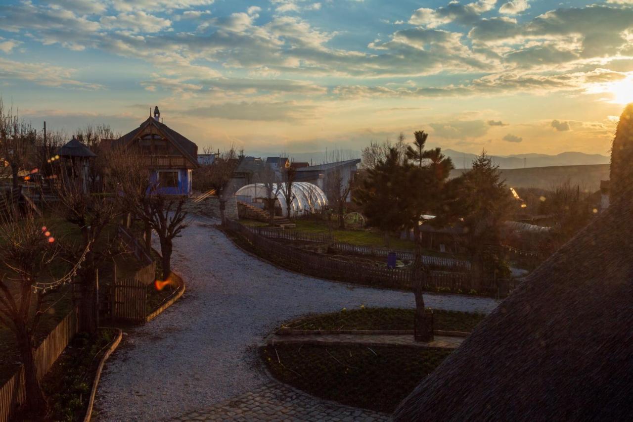Casele Cu Stuf B&B Haus Ulrike Sălicea Exterior foto