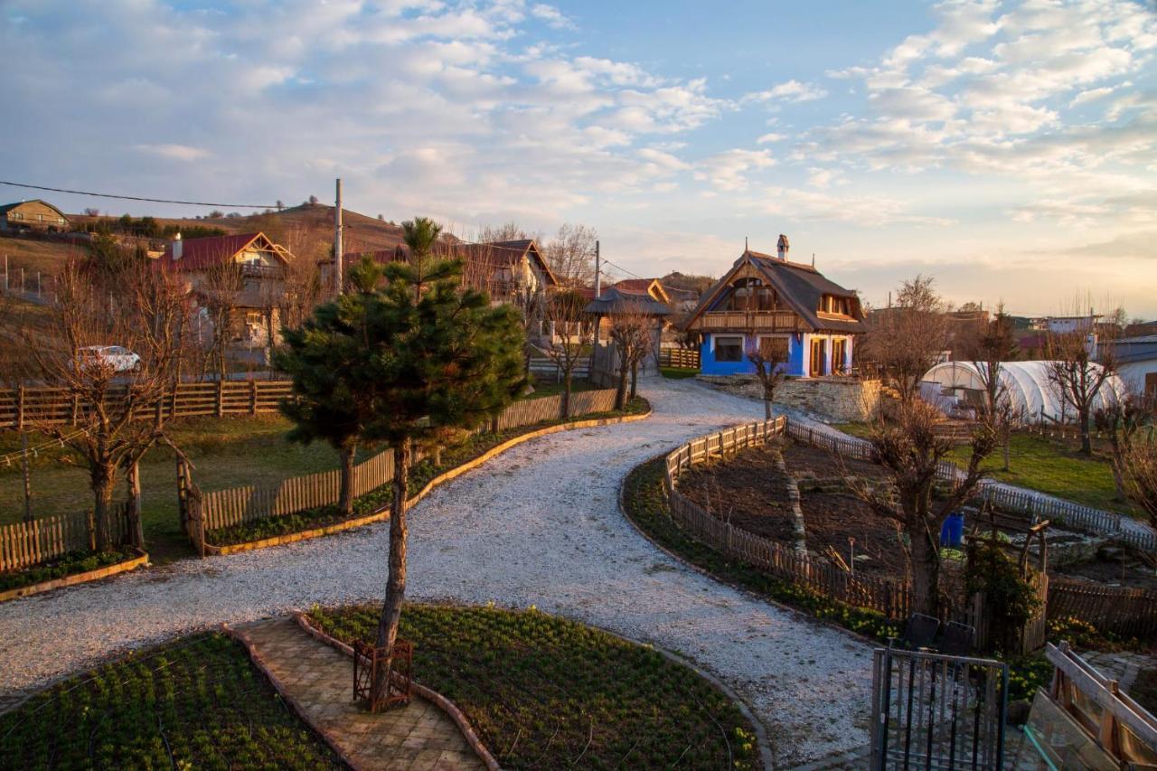 Casele Cu Stuf B&B Haus Ulrike Sălicea Exterior foto