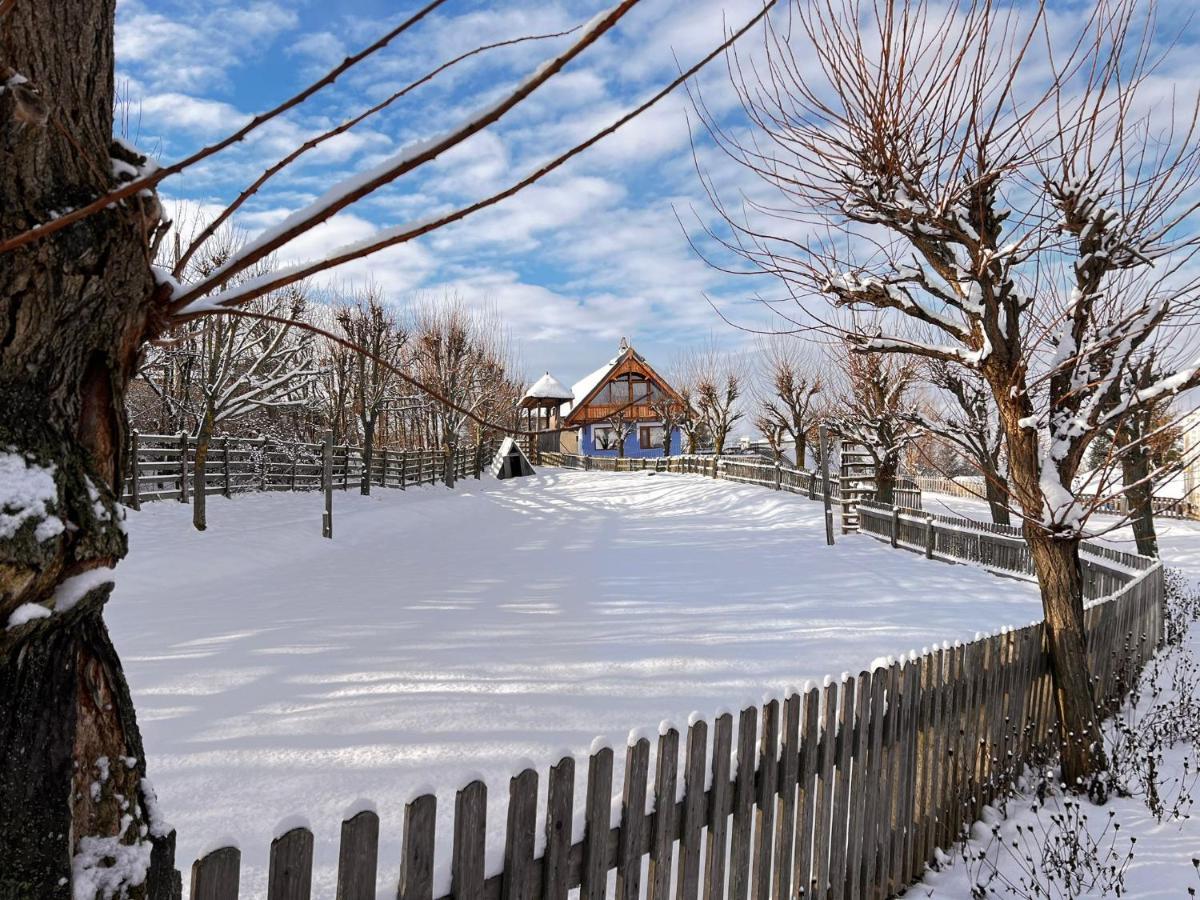 Casele Cu Stuf B&B Haus Ulrike Sălicea Exterior foto