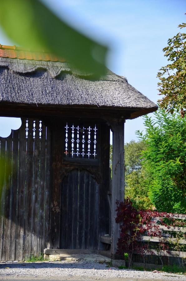 Casele Cu Stuf B&B Haus Ulrike Sălicea Exterior foto