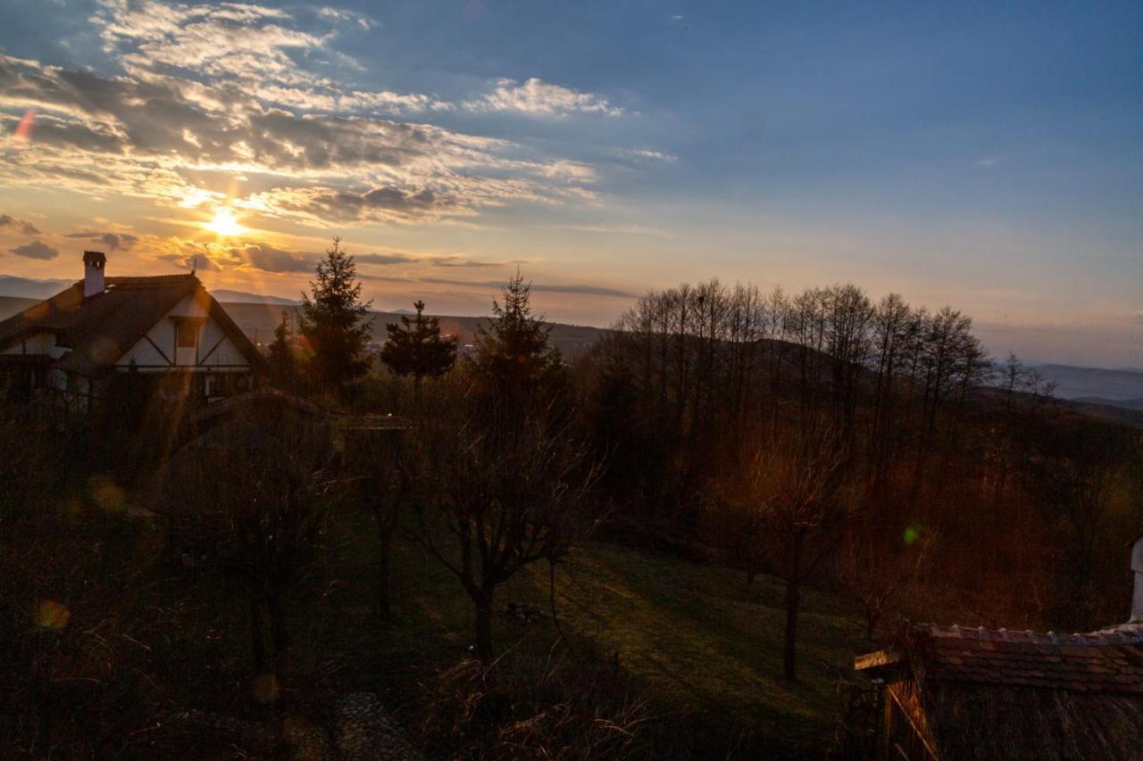 Casele Cu Stuf B&B Haus Ulrike Sălicea Exterior foto