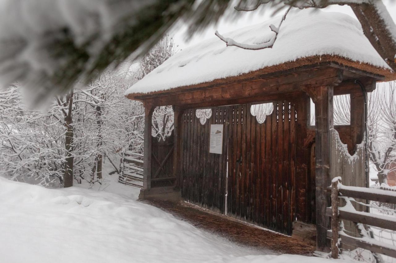 Casele Cu Stuf B&B Haus Ulrike Sălicea Exterior foto