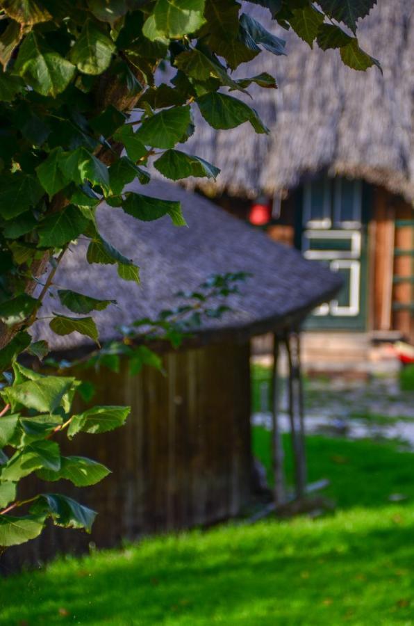 Casele Cu Stuf B&B Haus Ulrike Sălicea Exterior foto