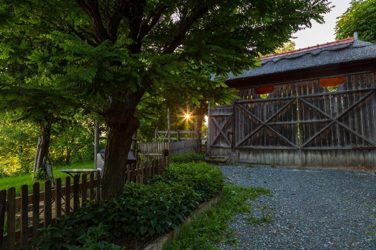 Casele Cu Stuf B&B Haus Ulrike Sălicea Exterior foto